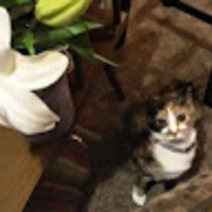 Meet your Posher, Pamela